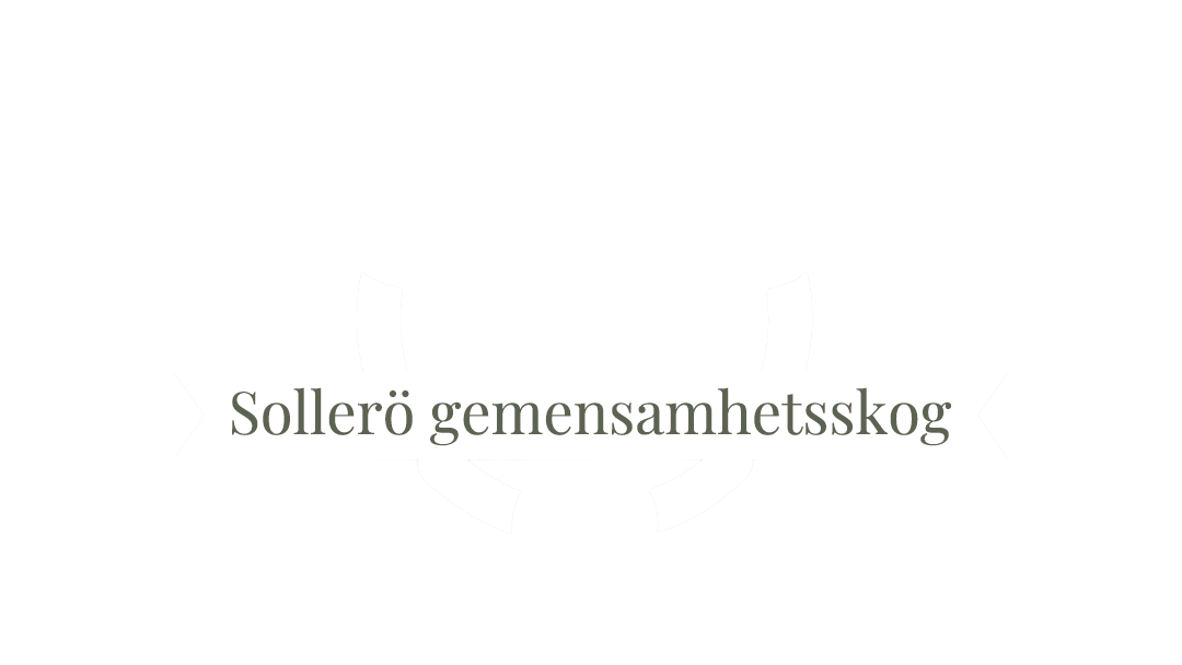 Sollerö gemensamhetsskog